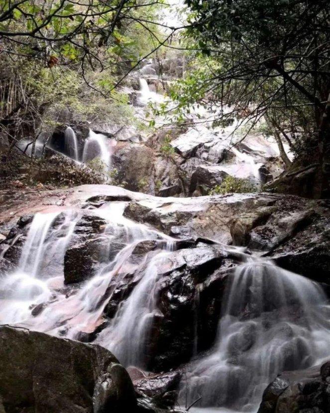 虫虫助手下载
